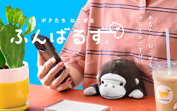 ちょっぴりワイルドな動物たちがあなたの姿勢をサポート!“猫背”なあなたを支えるぬいぐるみふんばるずの新ラインナップ ゴリラ、レッサーパンダ、カバ