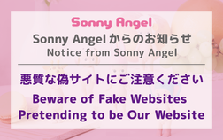 Beware of Fake Websites Pretending to be Our Website
