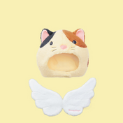 Calico Cat