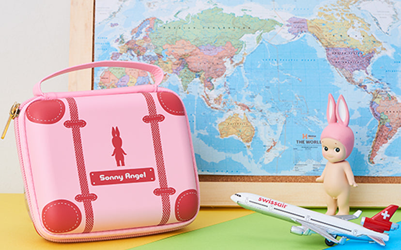 Carrying Case　2019