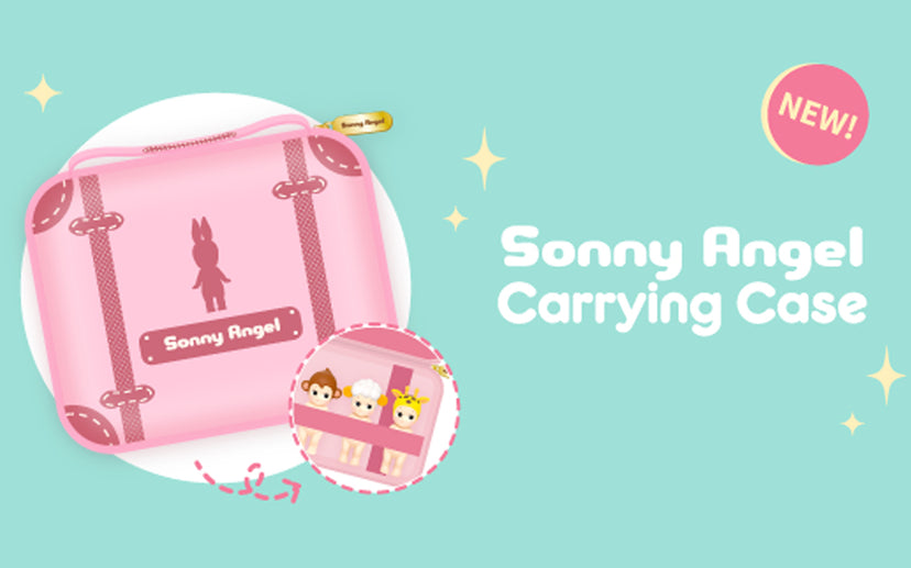 Carrying Case　2019