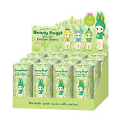 Cactus series 2020 AssortBox